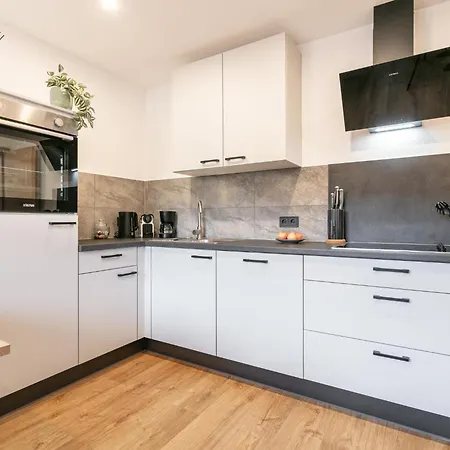 Διαμέρισμα Steiner