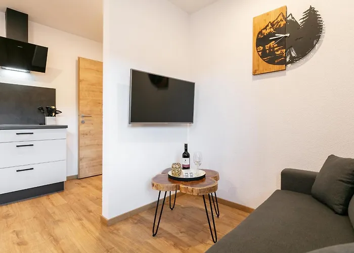 Apartament Steiner *